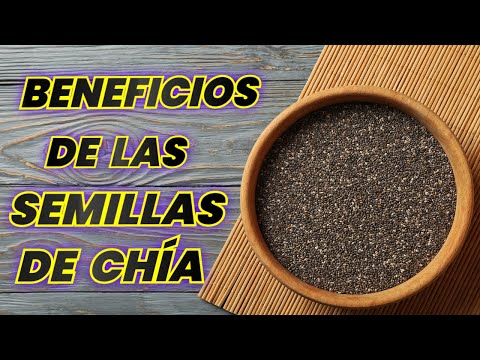 ¿Cuáles son los BENEFICIOS DE LAS SEMILLAS DE CHÍA? -Descubre los beneficios de las semillas de chía